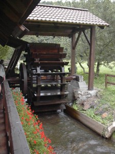 2001.08.08 11.37.44.jpg